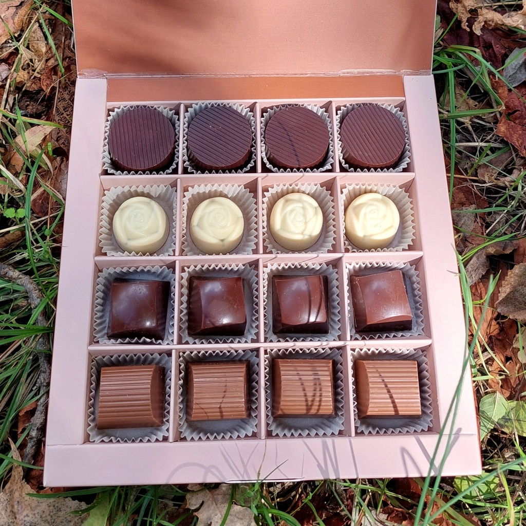 Kutia e Stineve - Autumn