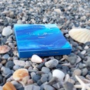 Kutia e Stineve - Summer