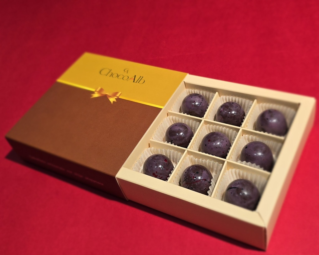 Kutia Klasike - Festa Shkodra