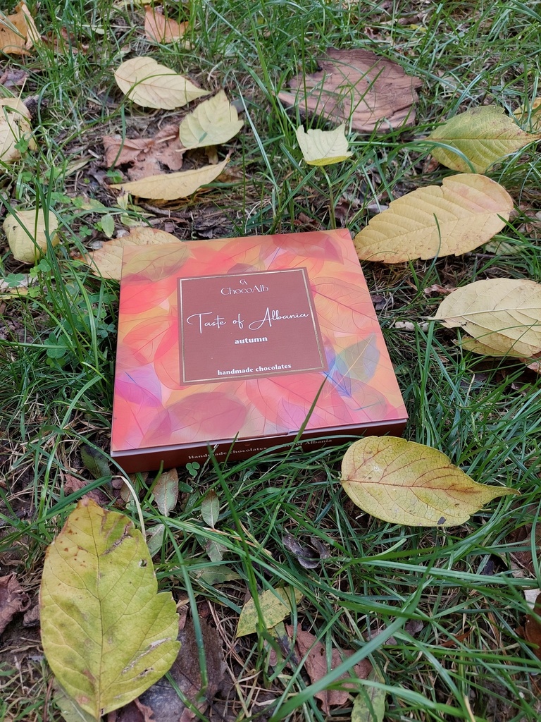 Kutia e Stineve - Autumn