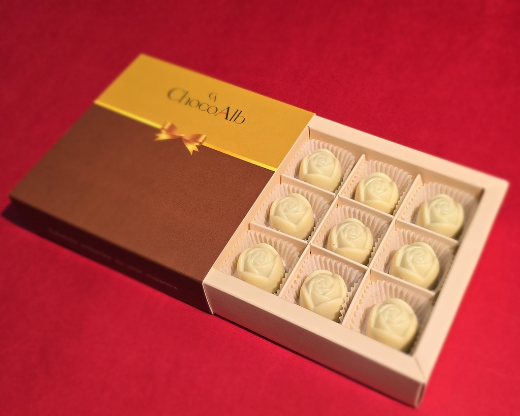 [A029] Kutia Klasike - Festa Permet