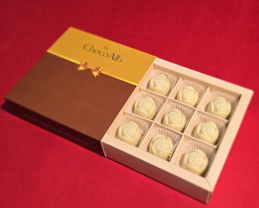 [A029] Kutia Klasike - Festa Permet